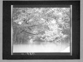[Untitled]