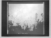 [Untitled]