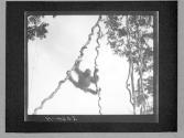 [Untitled]