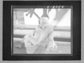 [Untitled]