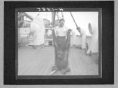[Untitled]