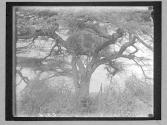 [Untitled]