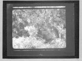 [Untitled]