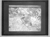 [Untitled]