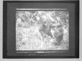 [Untitled]