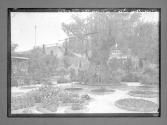 Jerusalem Jardin des Oliviers