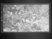 [Untitled]