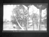 [Untitled]