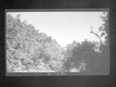 [Untitled]