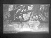[Untitled]