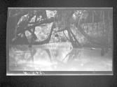 [Untitled]
