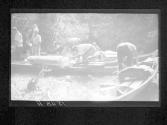 [Untitled]