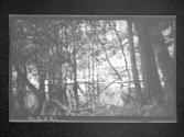 [Untitled]