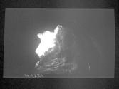 [Untitled]