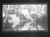 [Untitled]