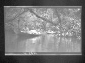 [Untitled]