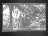 [Untitled]