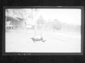 [Untitled]
