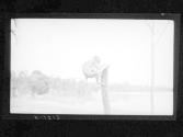 [Untitled]