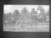 [Untitled]
