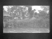 [Untitled]