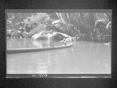 [Untitled]
