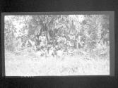 [Untitled]