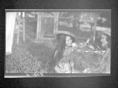 [Untitled]