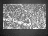 [Untitled]