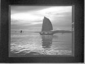 [Untitled]