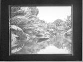 [Untitled]