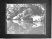 [Untitled]