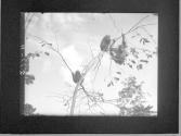 [Untitled]