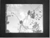 [Untitled]