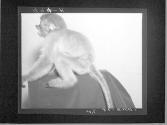 [Untitled]