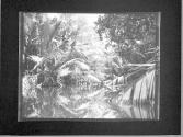 [Untitled]