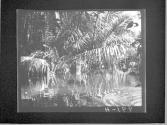 [Untitled]
