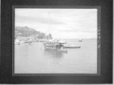 [Untitled]