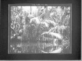 [Untitled]