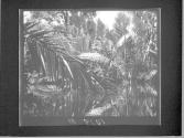 [Untitled]