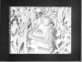 [Untitled]