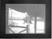 [Untitled]