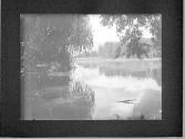 [Untitled]
