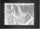 [Untitled]