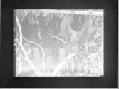 [Untitled]