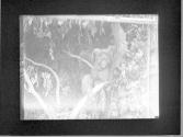 [Untitled]