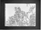 [Untitled]