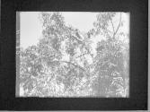 [Untitled]