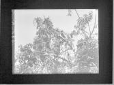 [Untitled]