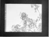 [Untitled]